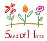 SOH Logo